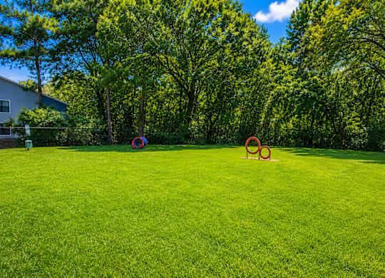 A green field with two red rings in the middle.