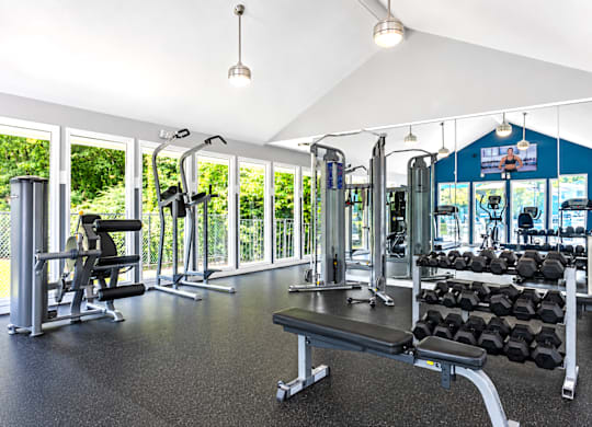 A gym with a variety of equipment including weights and a rowing machine.