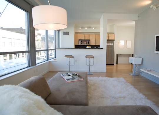 A living room with a grey couch and a white rug.