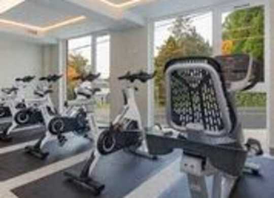 Fitness Center with Cardio Equipment and Views outside of trees at Arabella Apartment Homes, Shoreline, 98155