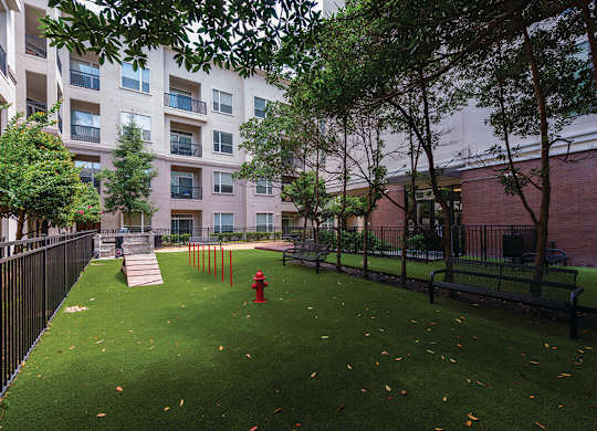 dog park at Ascent at City Centre
