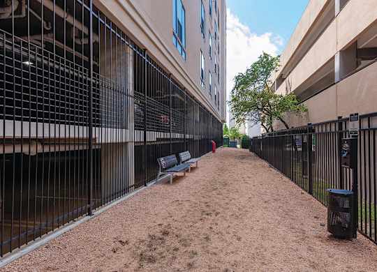 dog run at Ascent at City Centre