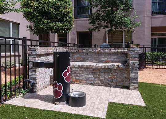 pet space at Ascent at City Centre