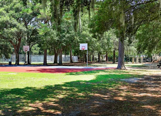 Lush Green Outdoor at The Palms, South Carolina, 29407