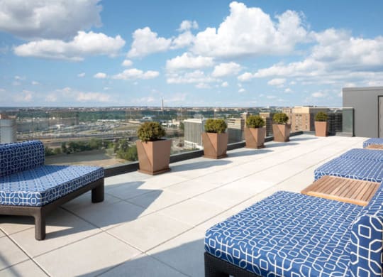 a rooftop terrace with blue and white patterned lounge chairs and potted plants at The Millennium, Arlington, 22202
