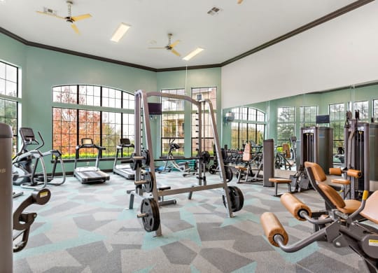 Fitness Center at The Vista on Brodie, Austin, TX, 78745