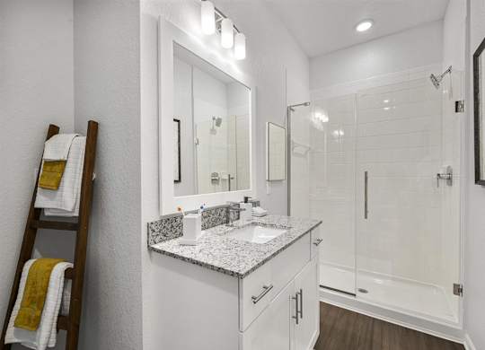 a bathroom with a sink and a shower