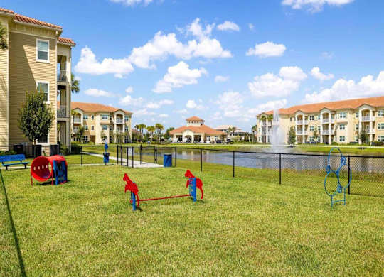 A dog park with red and blue tunnel and jump sets in the grass.