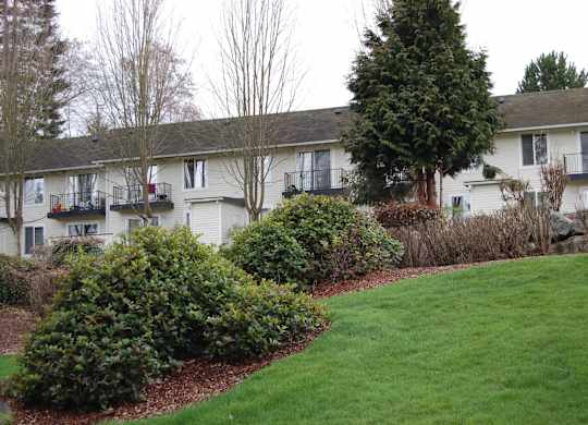 A grassy area in front of apartment buildings.
