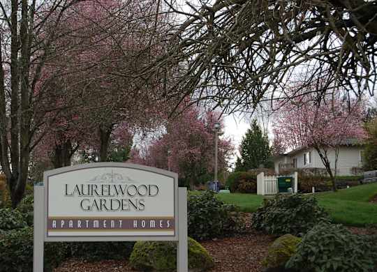A sign for Laurelwood Gardens Apartment Homes is in front of a flowering tree.