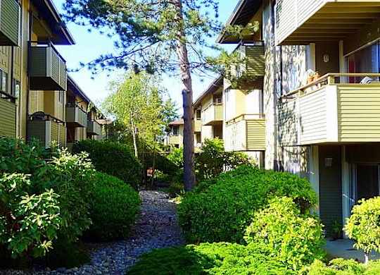 A row of houses with green bushes in front.