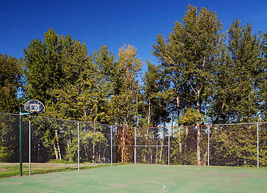 A tennis court surrounded by trees and a fence.