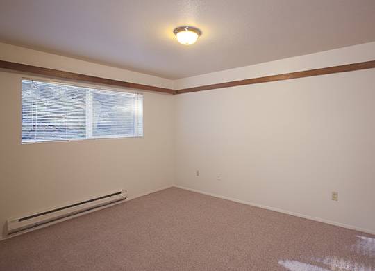 A room with a window and a radiator on the floor.