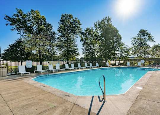 A sunny day at the pool with trees in the background.