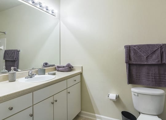Furnished Bathroom at Ultris Courthouse Square Apartments in Stafford, Virginia, VA