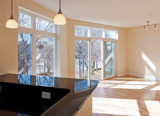 Oversize Windows at 7 Cameron, Cambridge, MA 02140