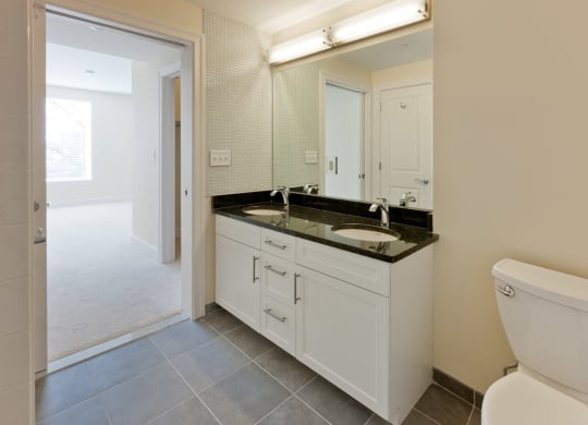 Double Raised Bowl Bathroom Sinks at 7 Cameron, Cambridge, MA 02140