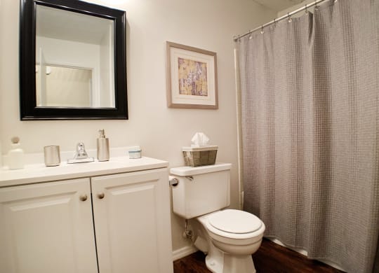 Bathroom at Crown Station Apartments, Ohio, 45102