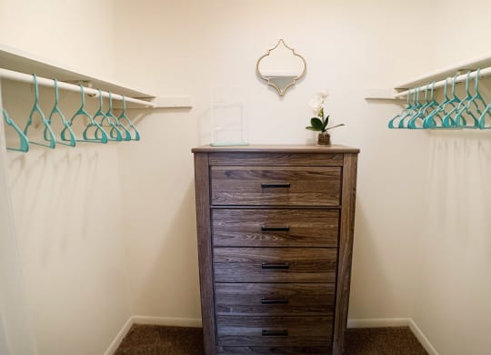 Large Closet at Crown Station Apartments, Amelia, OH