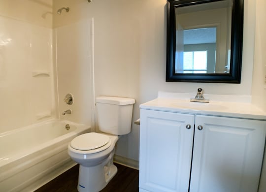 Bathroom With Bathtub at Crown Station Apartments, Amelia, OH