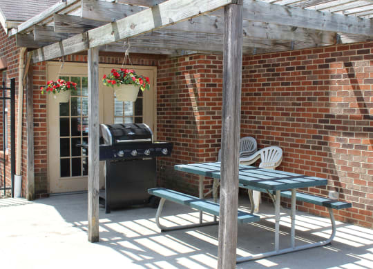 Grilling Area at Woodhills Apartments, West Carrollton, 45449