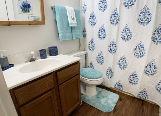 Bathroom  at Concord Woods Apartments, Ohio