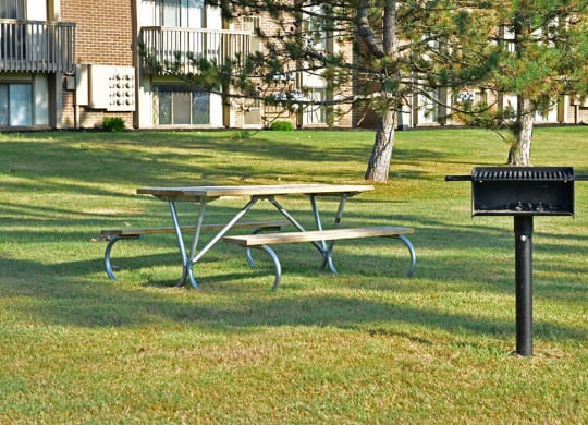 Grill And Picnic Table at Perry Place, Michigan