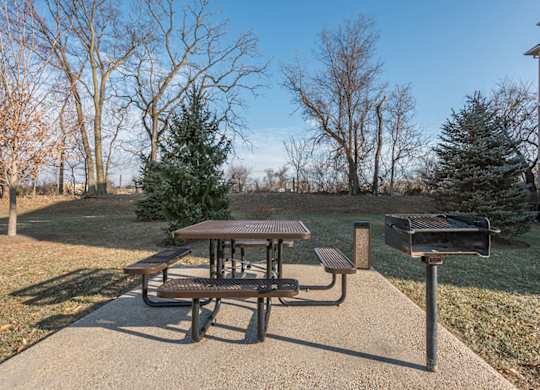 A picnic table is in the middle of a concrete slab with a mailbox to the right.