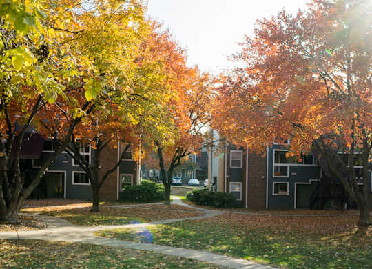 A sunny autumn day in a residential area with trees showing fall colors.