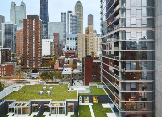 Townhome Green Roof Chicago Skyline View at Eight O Five, Chicago, 60610
