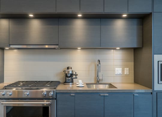 Epicurean Kitchens with Top-Notch Stainless Steel Appliances