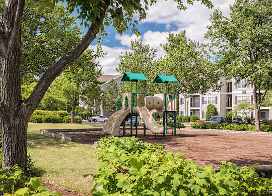 a wooded view of a playground with apartment buildings in the background.