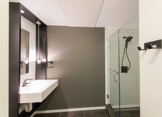 Luxurious Bathrooms at Reed Row, Washington, DC, 20009