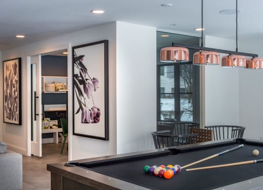 cambridge park apartment billiards room