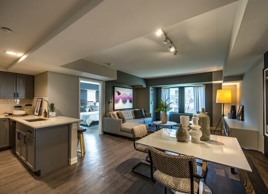 cambridge park apartment kitchen and living
