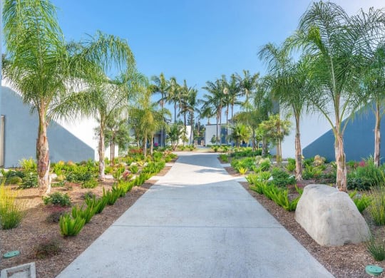 Courtyard Walking Path at Beverly Plaza Apartments, Long Beach, 90815