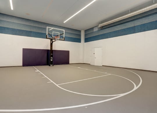 Indoor Basketball Court at TENmflats, Columbia, Maryland