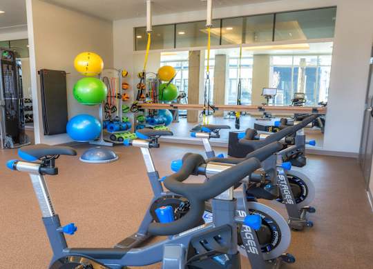 Plyo equipment in fitness center