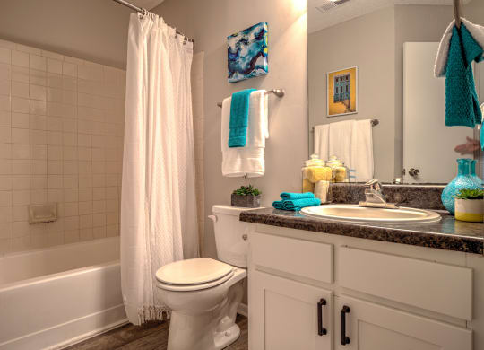Bathroom With Bathtub at Palmetto Grove, Charleston, 29406