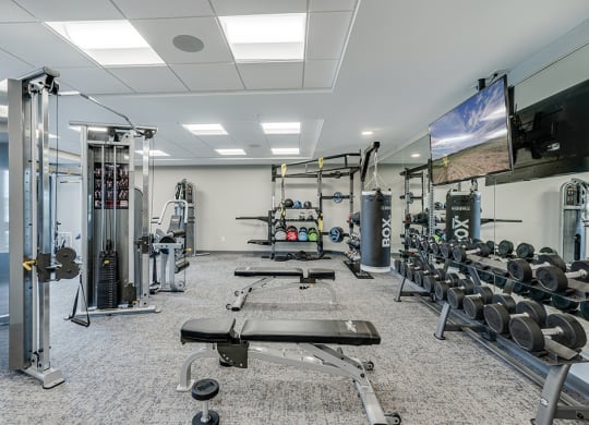 Expansive Free Weights Section of Fitness Center