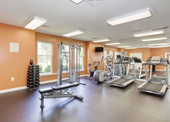 our fitness center has a variety of exercise equipment