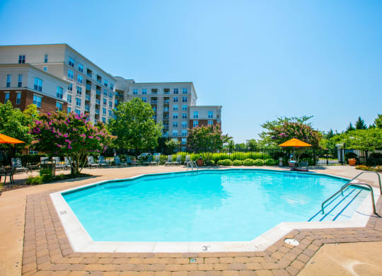our apartments showcase an unique swimming pool