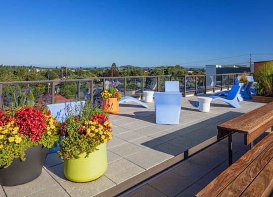 The Wilmore rooftop with flowers