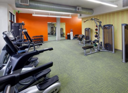 The wilmore gym with workout equipment