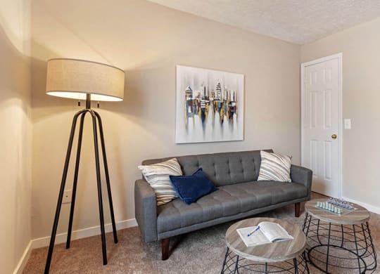 Extra-Comfy Furnishings at Ridgeland Place Apartment Homes, Mississippi, 39157