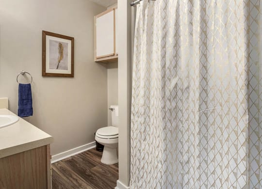 Spacious Bathrooms at Ridgeland Place Apartment Homes, Ridgeland, Mississippi