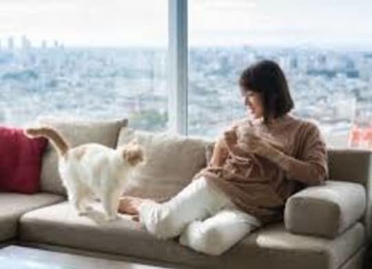 A woman is sitting on a couch with a dog.