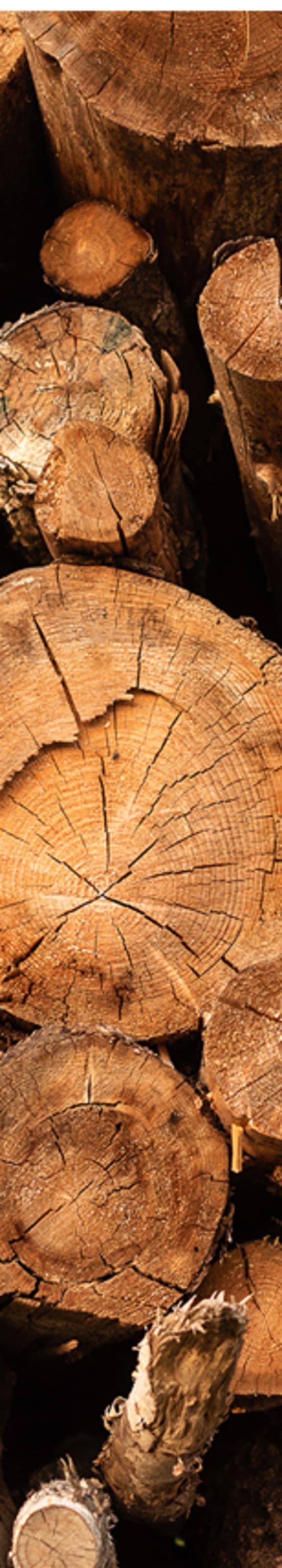 a pile of cut logs in a wood shop at Stadium Lofts, Kannapolis, North Carolina