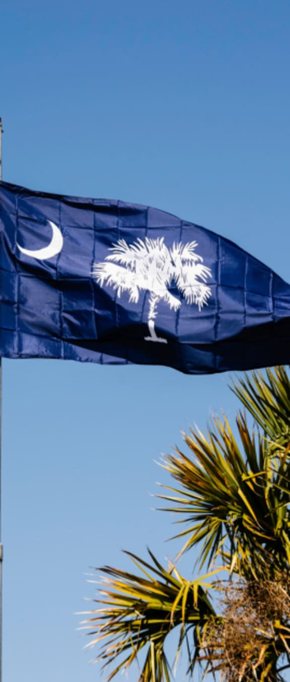 the state flag of the hawaiian island of maui flies above a palm tree