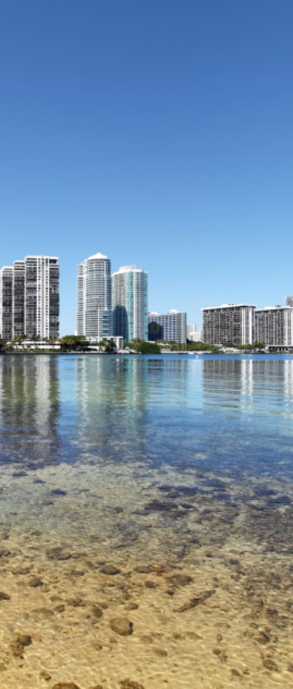 a view of the australian city of brisbane from the beach